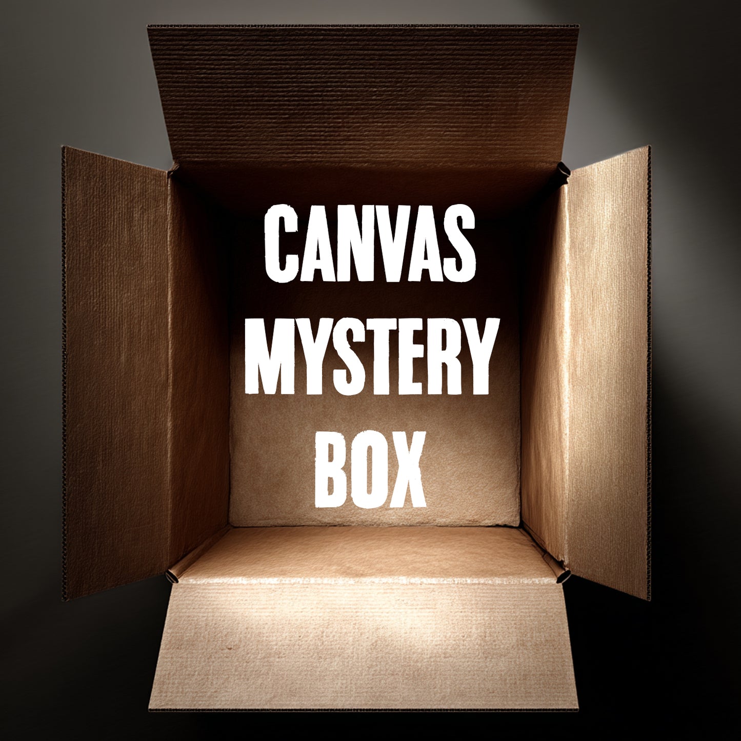 any means necessary shawn coss canvas mystery box