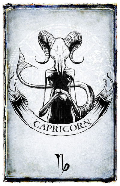 any means necessary zodiac sign poster print capricorn