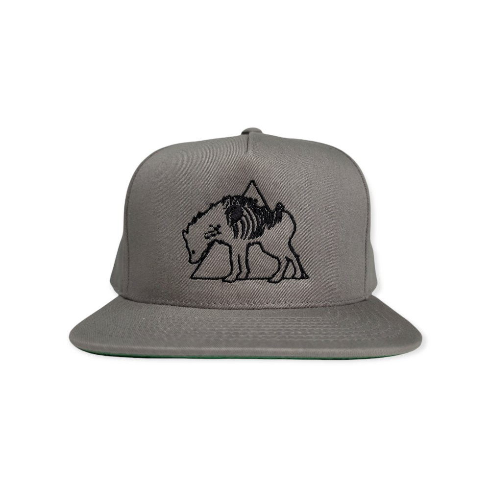 any means necessary shawn coss hyena forever logo snapback hat grey front