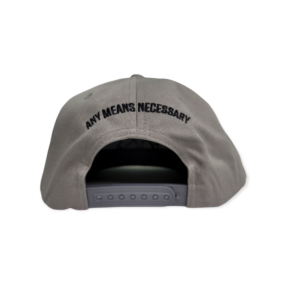 any means necessary shawn coss hyena forever logo snapback hat grey back
