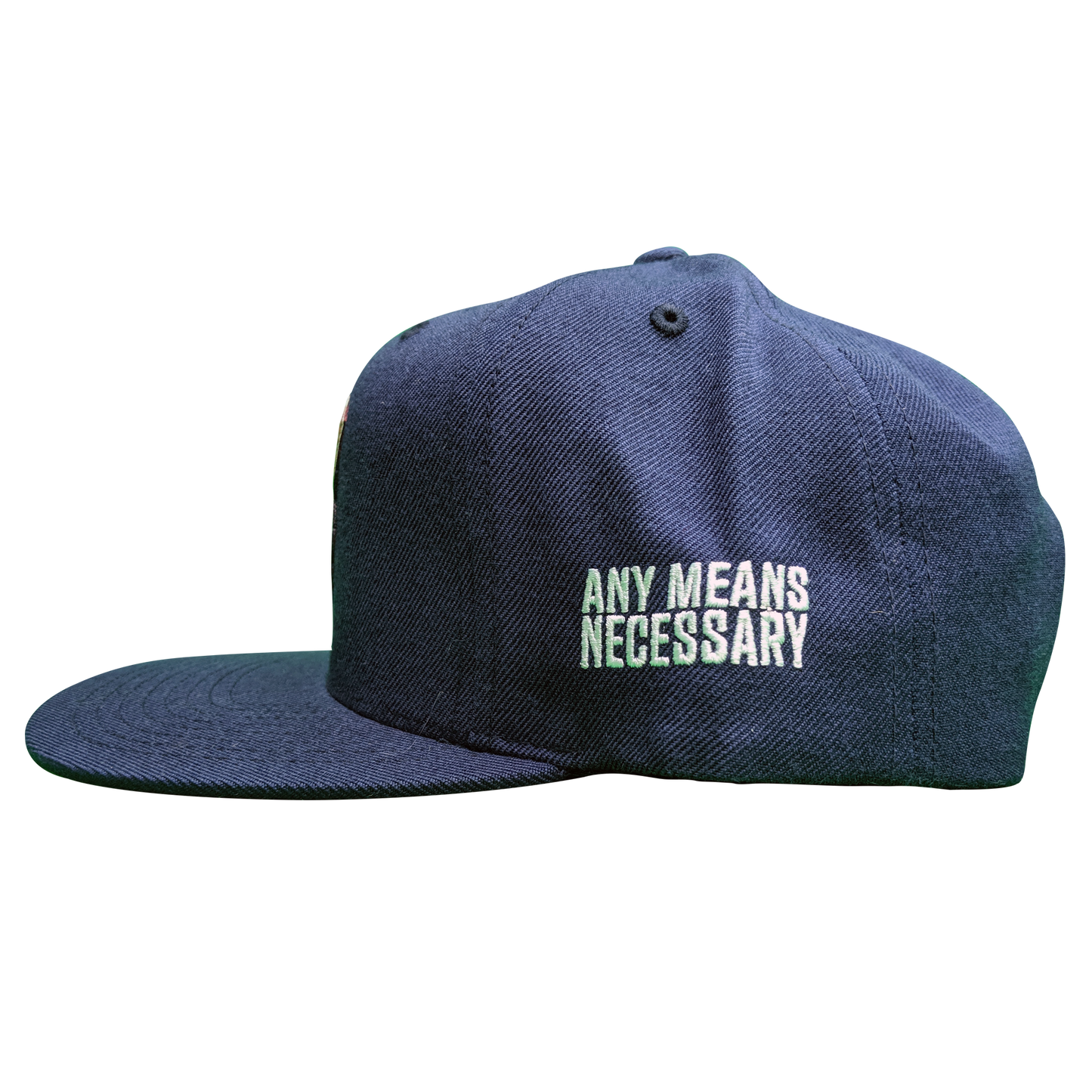 any means necessary the land cleveland indians snapback hat side
